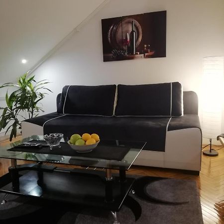 Two Kings Apartment Novi Sad Dış mekan fotoğraf