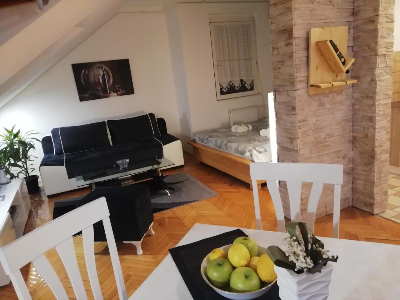 Two Kings Apartment Novi Sad Dış mekan fotoğraf