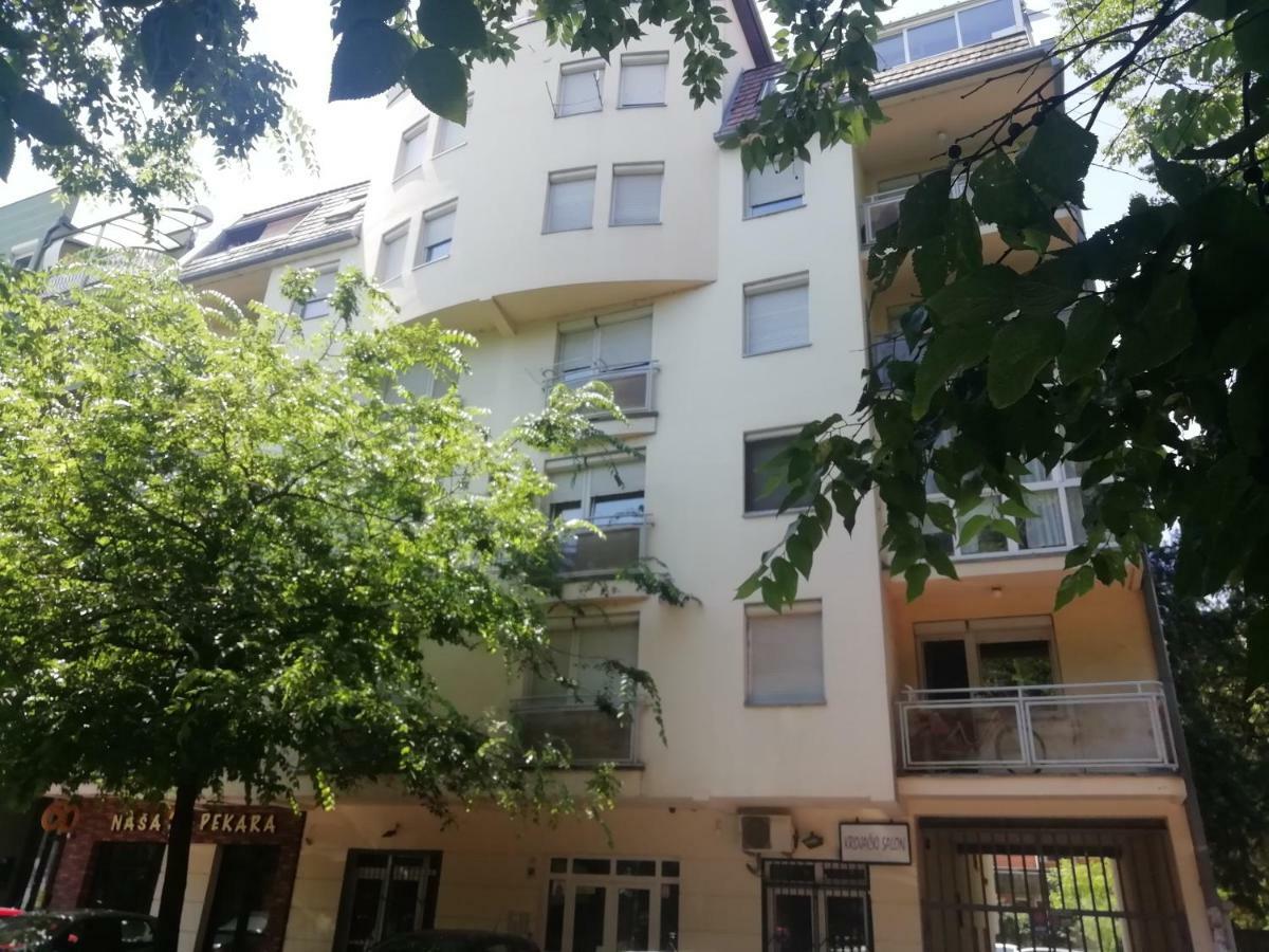 Two Kings Apartment Novi Sad Dış mekan fotoğraf