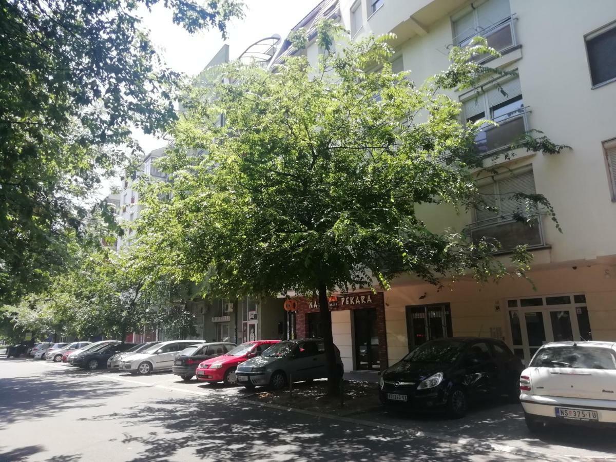 Two Kings Apartment Novi Sad Dış mekan fotoğraf